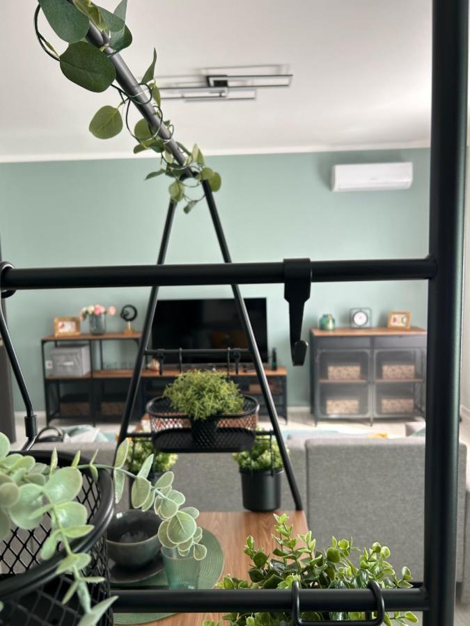 Sophie'S Urban Nest Apartment มิชโคลซ์ ภายนอก รูปภาพ
